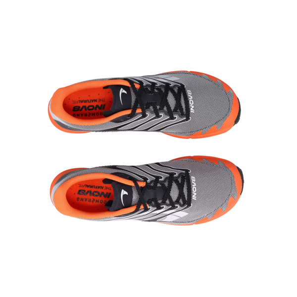 X-Talon Pro (M)