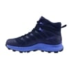 INOV8 ROCLITE MID GTX M